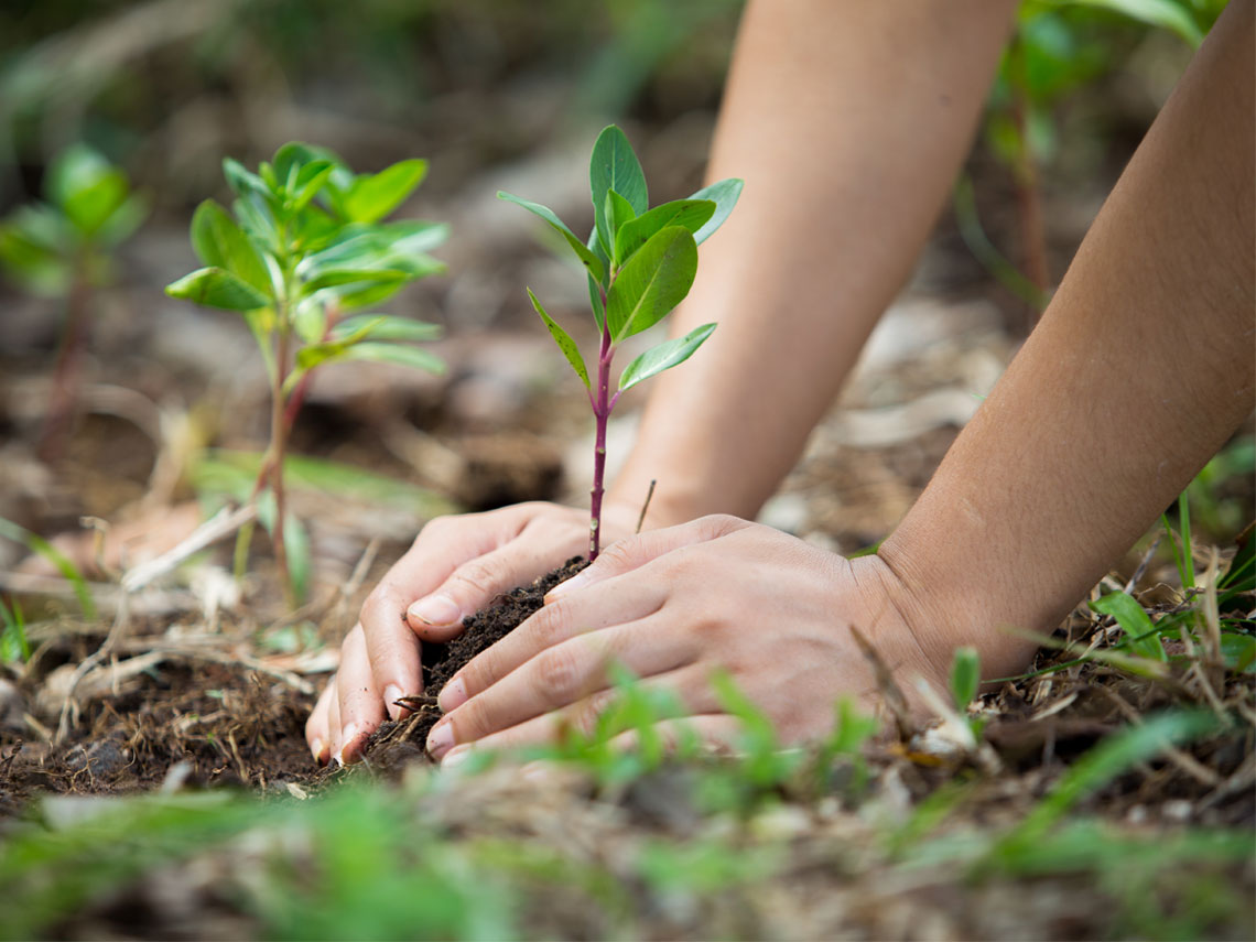 Social Responsibility