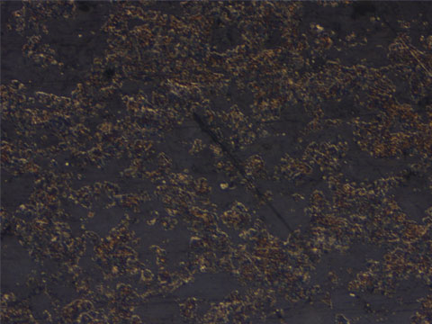 Carbides
