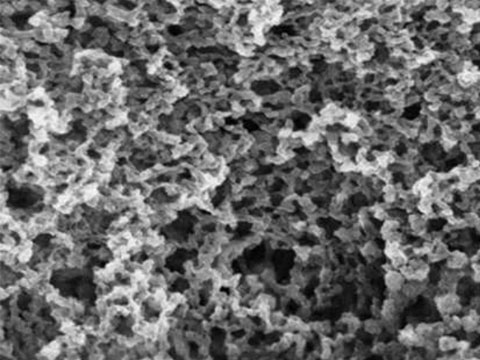 Cellulose Acetate