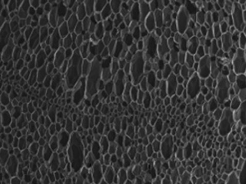 EPDM