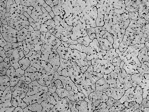 Magnesium Alloys